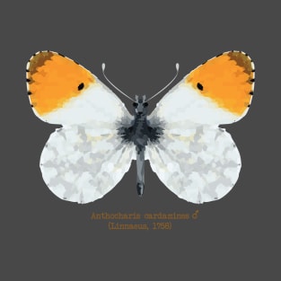 Orange tip butterfly T-Shirt