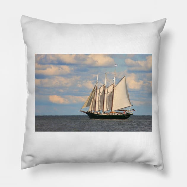 Alliance sets sail Pillow by tgass