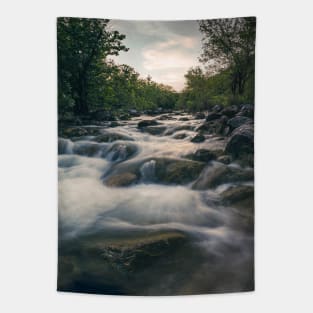 Barton Creek, Austin Texas Tapestry