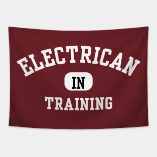 Electrician in Training Tapestry