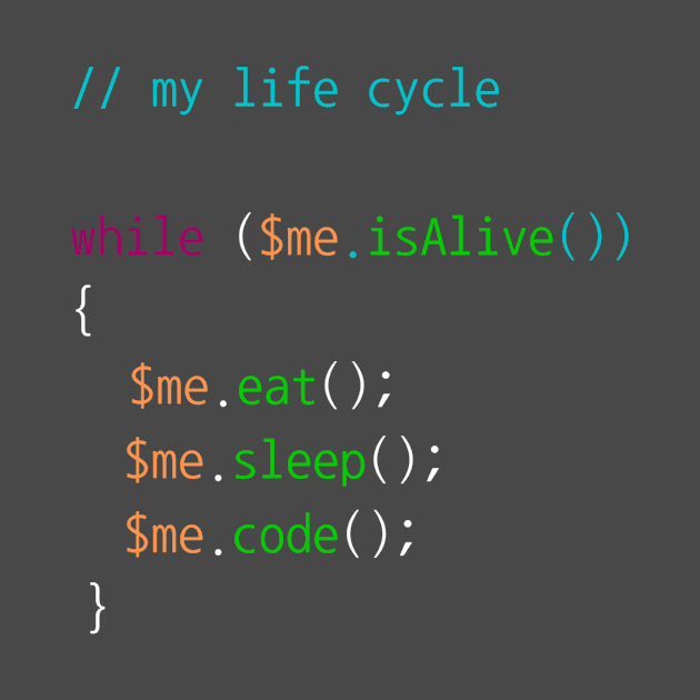 Coder life cycle by HotCodeDesign