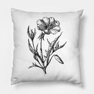 Poppy Flower Black and White Vintage Botanical Illustration Pillow