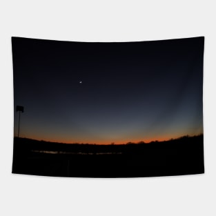 Winter Twilight Tapestry