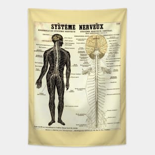 Vintage Poster of the Nervous System Tapestry