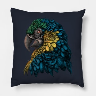 Blue and Gold Macaw Pillow