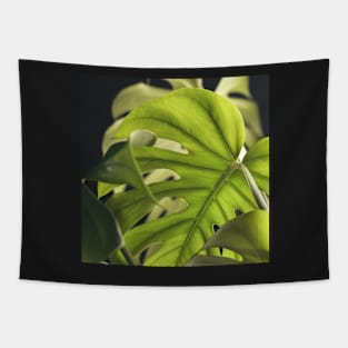 Monstera Layers Tapestry