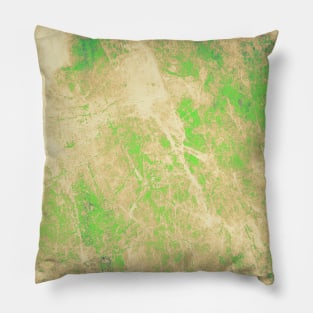 Brown green grunge textures Pillow