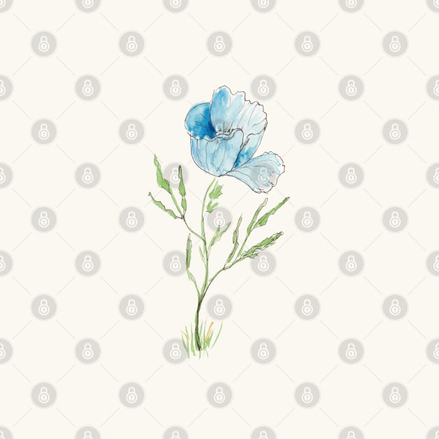 Blue Poppy Sketch in Pen, Ink and Watercolor by ConniSchaf