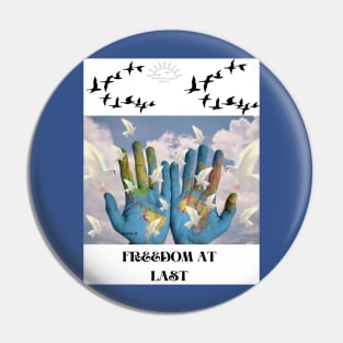 Freedom is FREE Pin