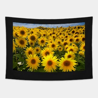 Backlit Yellow Sunflowers Tapestry