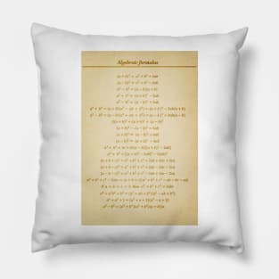 Algebraic Formulas Pillow