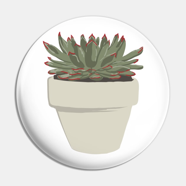 CNS Echeveria Peacockii Pin by crumpetsandcrabsticks