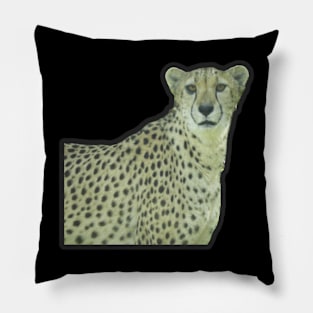 Cheetah Pillow