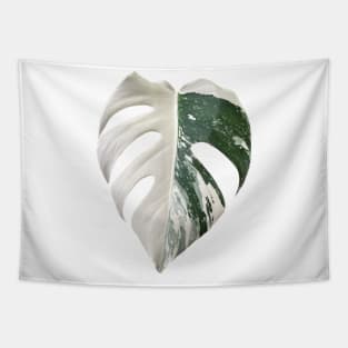 Marbled Monstera Albo Finestrated Design Tapestry