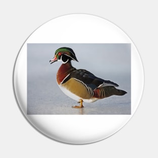 Duck du jour - Wood Duck Pin