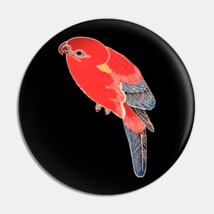 Awesome Cute Parrot Color Shirt For Parrot Lover Pin