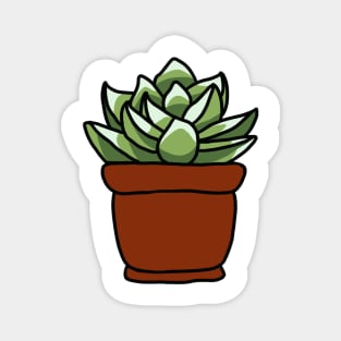 Succulent Magnet