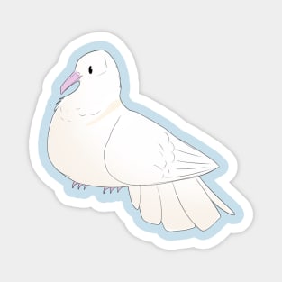 White Collared Dove Magnet