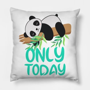 Lazy panda,lazy day for lazy moments in our life. Pillow