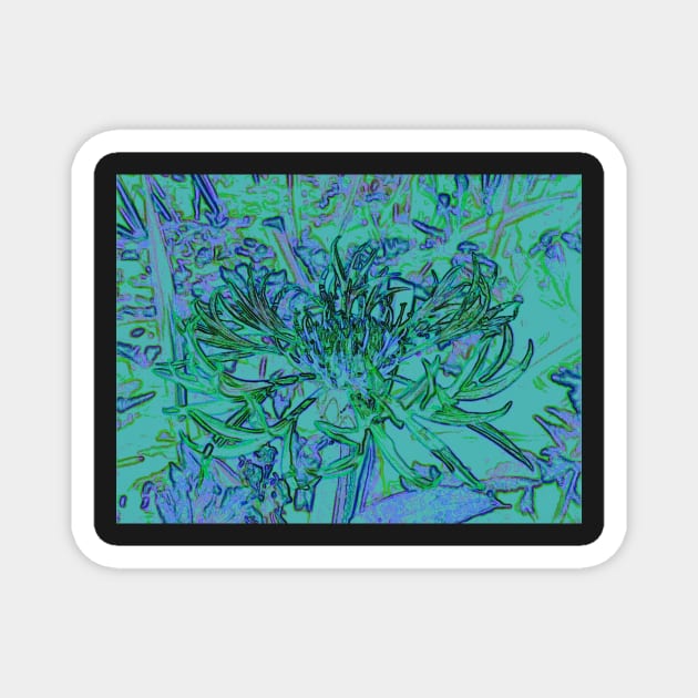 Cornflower Magnet by MagsWilliamson