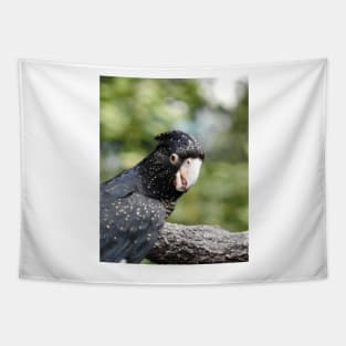 Red-tailed Black Cockatoo Tapestry