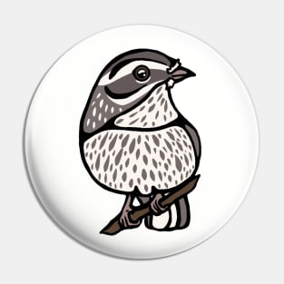 Northern Waterthrush Pin