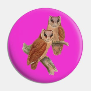 Pair of Owls Painting Pin