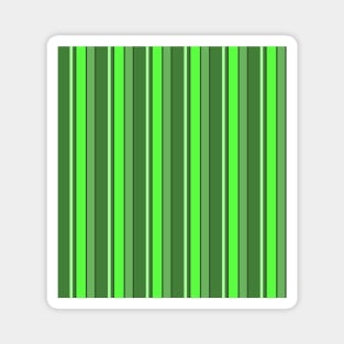 Stripes Forest Green 2019 112020 Magnet