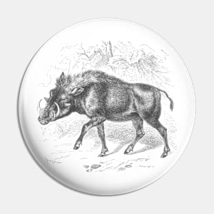 Warthog Vintage Nature Illustration Pin