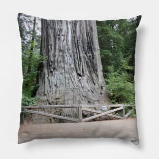 Redwoods California Nature Photography Pacific Northwest Pillow