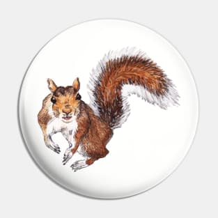 Squirrel Pin