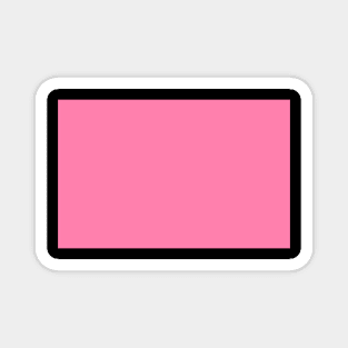 Baby Pink Paint Magnet