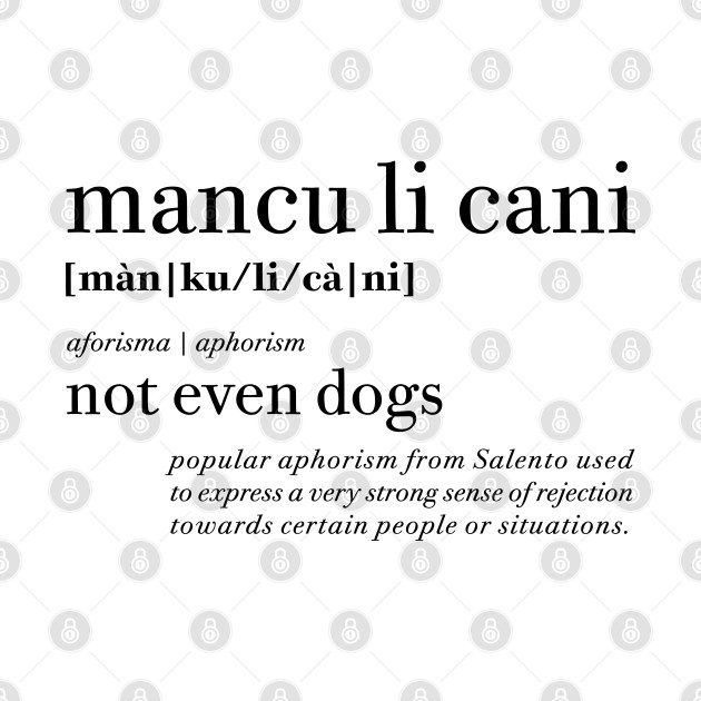 Mancu li cani - Not even dogs | Salento Aforismi - Salento Aphorism by SALENTOmadness