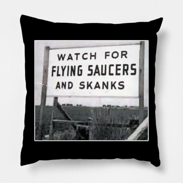 Flying Saucers and Skanks Pillow by BigOrangeShirtShop