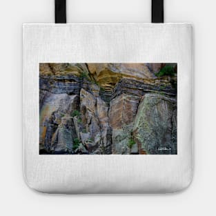 Passage of Time Tote