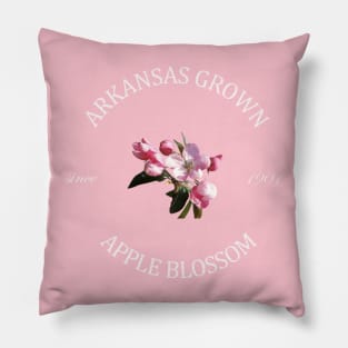 Arkansas Grown Pillow