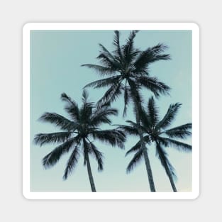 Palm Trees By the Beach Magnet