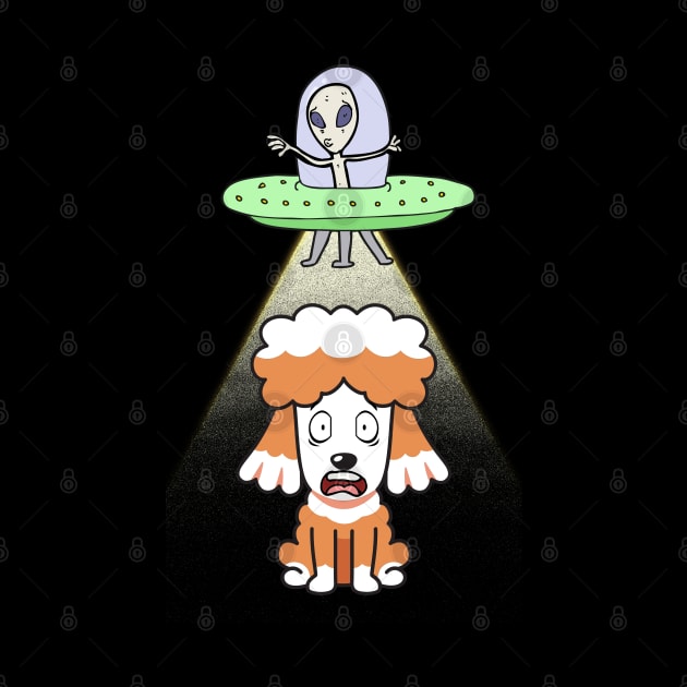 Funny poodle is being abducted by aliens by Pet Station