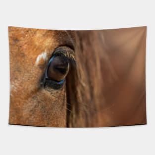 Horse Eye Tapestry