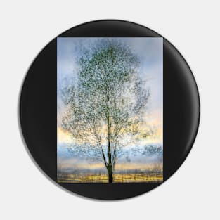 Abstract Multiple Exposure Tree at Sunset Pin