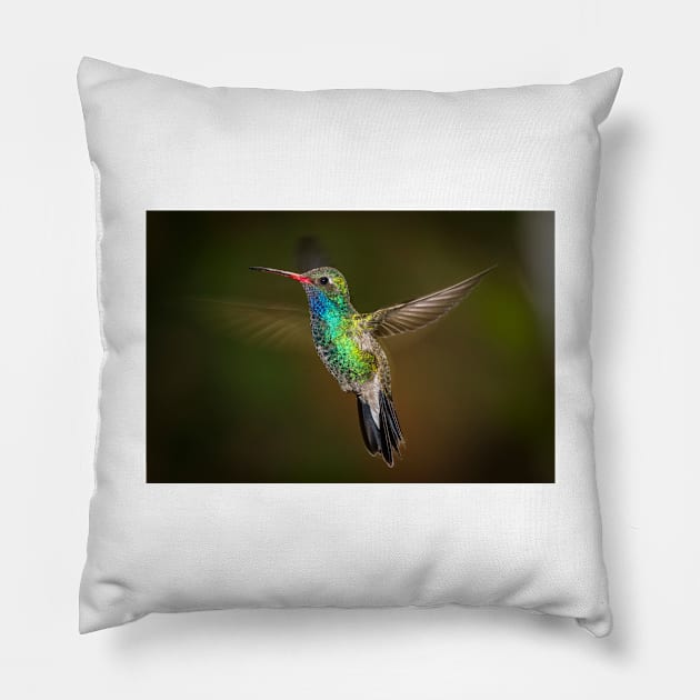 Hummingbird Pillow by kawaii_shop