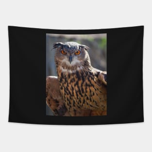 Eagle Owl Tapestry