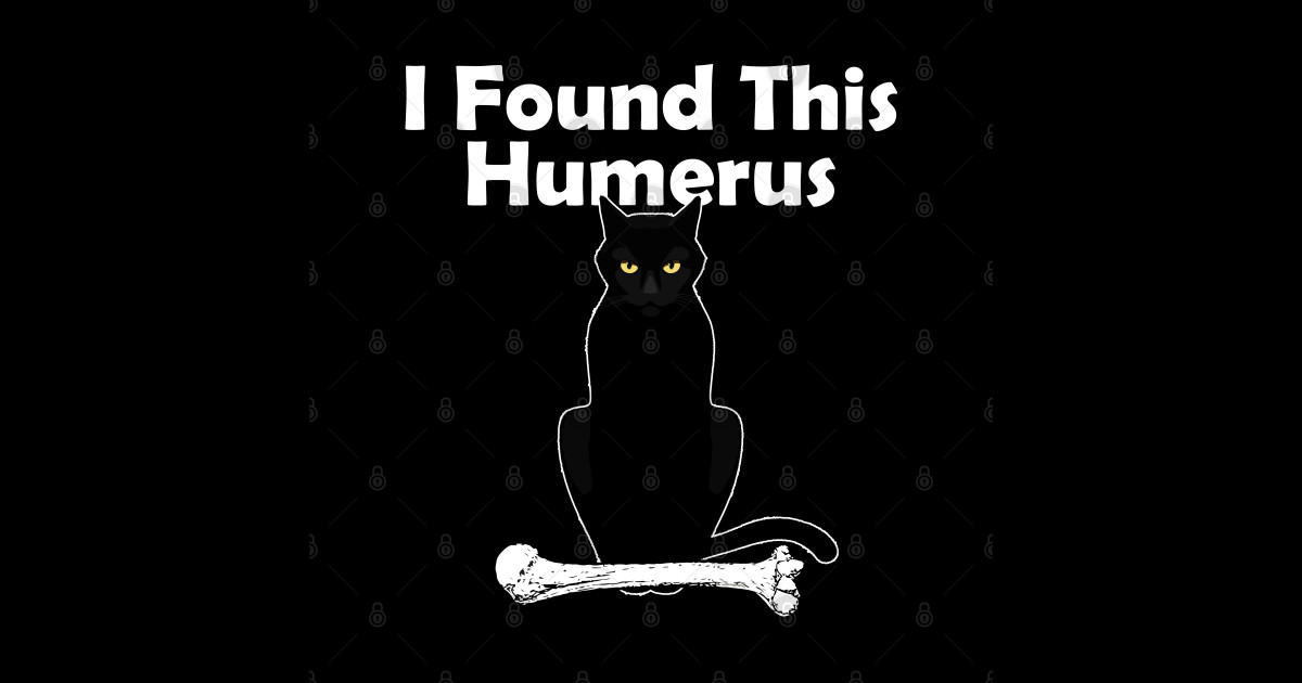 I Found This Humerus Cat - Cat - Sticker | TeePublic