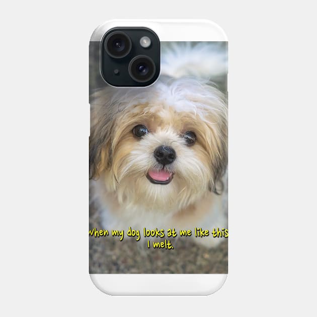 When my dog looks at me like this, I melt. Phone Case by likbatonboot