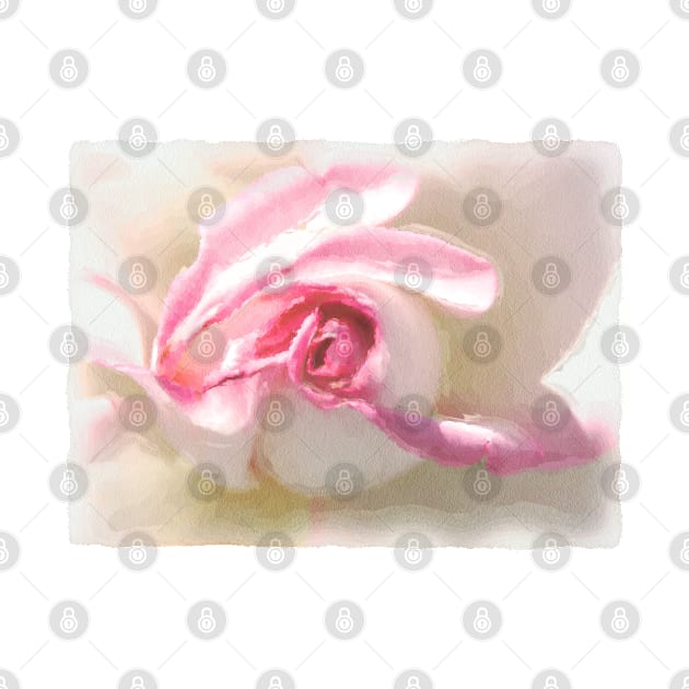 Peppermint rose by DarlaHallmark
