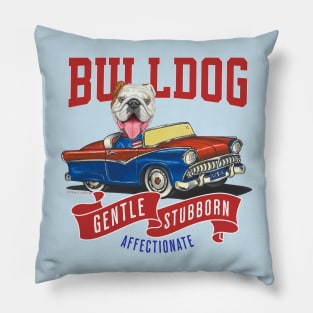 Cute and funny bulldog in a retro vintage car using red white and blue flags Pillow