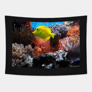 Colorful Fish in the Coral Tapestry