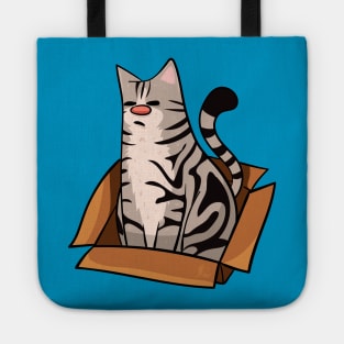 American Shorthair Cat in a Box Tote