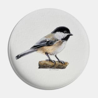 Chickadee Drawing 4 Pin