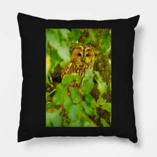 owl Pillow